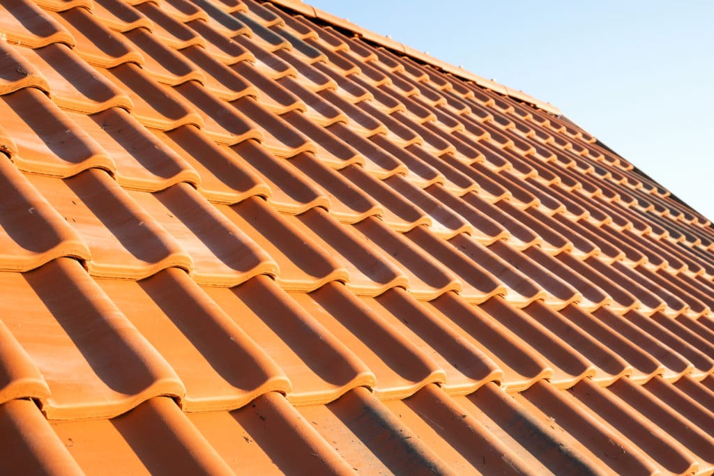 7 Essential Roof Maintenance Tips