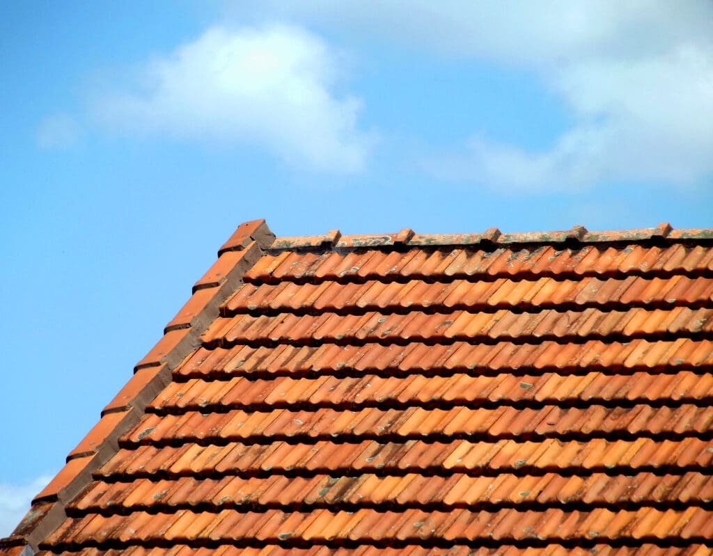 Identifying and Addressing Wind Damage