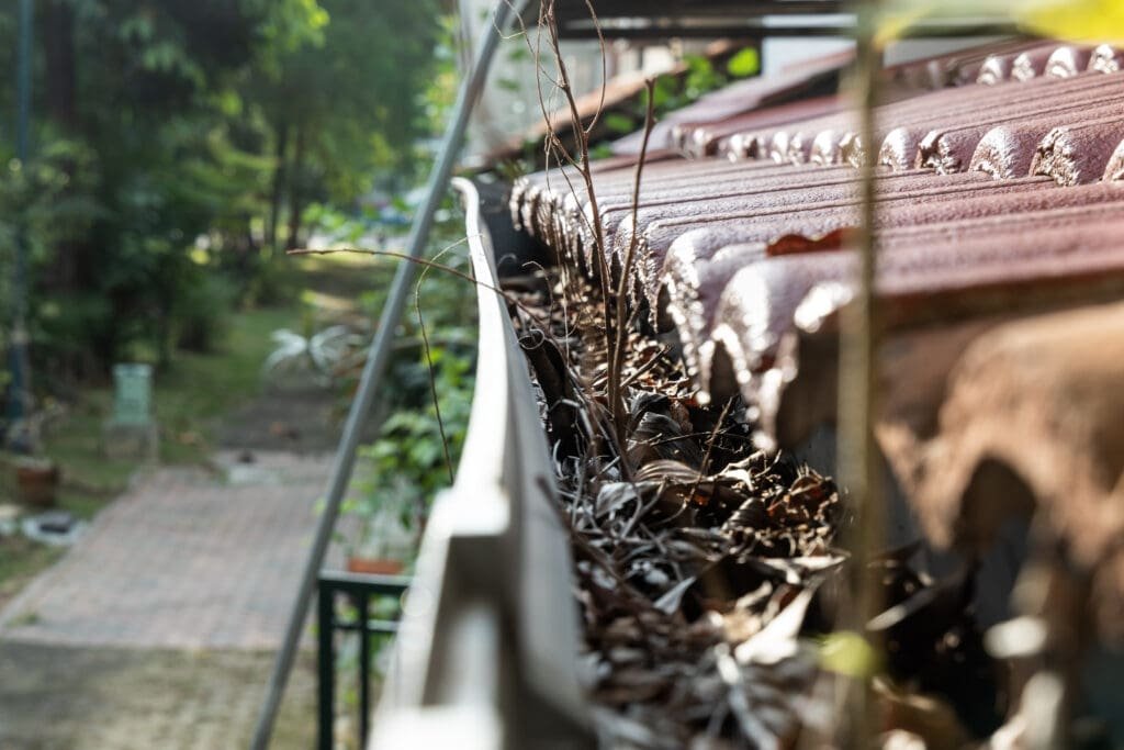 Quick Gutter Cleaning Tips for Martinsburg WV