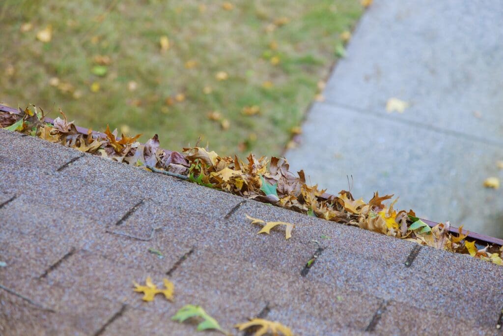 Quick Gutter Cleaning Tips for Martinsburg WV