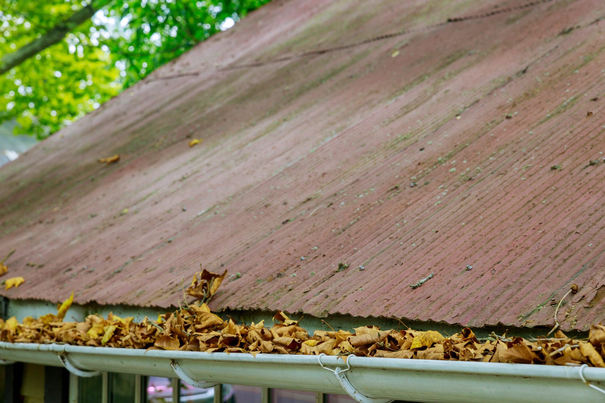 Quick Gutter Cleaning Tips for Martinsburg WV